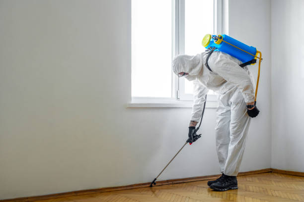 Best Wasp Removal Services  in Biscoe, NC