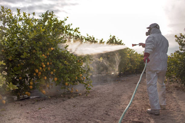 Trusted Biscoe, NC Pest Control Experts