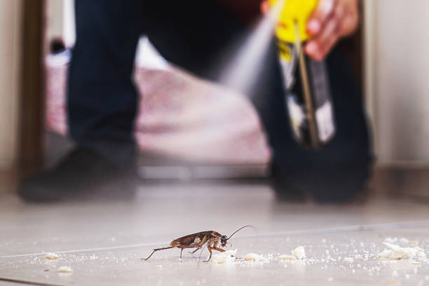 Best Pest Control for Businesses  in Biscoe, NC