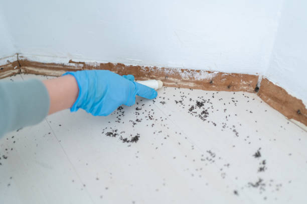 Best Pest Control Cost  in Biscoe, NC